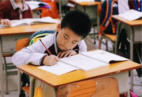 江蘇全面啟動課后服務(wù)與家庭教育咨詢，為家長減負(fù)解憂
